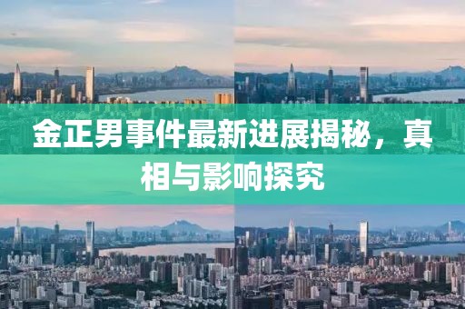 金正男事件最新進(jìn)展揭秘，真相與影響探究