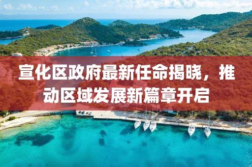 宣化區(qū)政府最新任命揭曉，推動區(qū)域發(fā)展新篇章開啟
