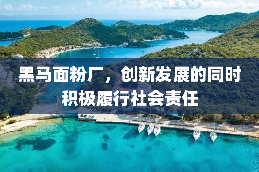 黑馬面粉廠，創(chuàng)新發(fā)展的同時積極履行社會責(zé)任