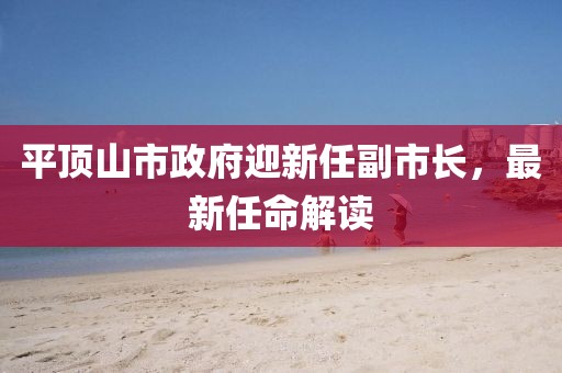 平頂山市政府迎新任副市長(zhǎng)，最新任命解讀