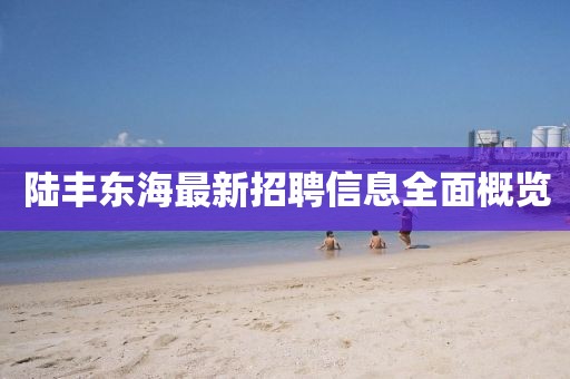陸豐東海最新招聘信息全面概覽