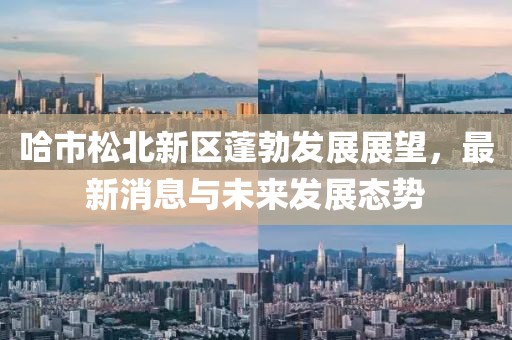 哈市松北新區(qū)蓬勃發(fā)展展望，最新消息與未來發(fā)展態(tài)勢