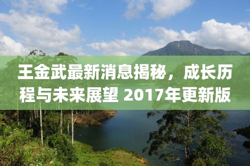 王金武最新消息揭秘，成長歷程與未來展望 2017年更新版