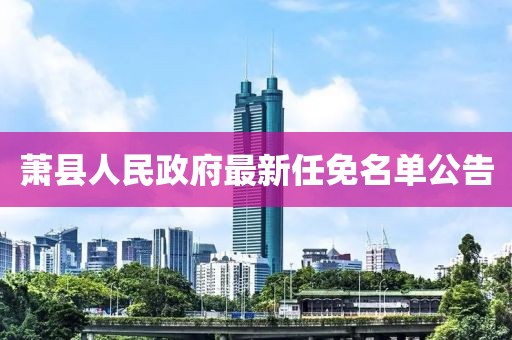 蕭縣人民政府最新任免名單公告