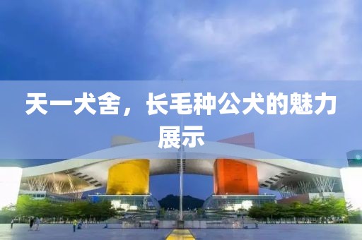 天一犬舍，長毛種公犬的魅力展示