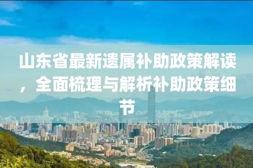 山東省最新遺屬補(bǔ)助政策解讀，全面梳理與解析補(bǔ)助政策細(xì)節(jié)