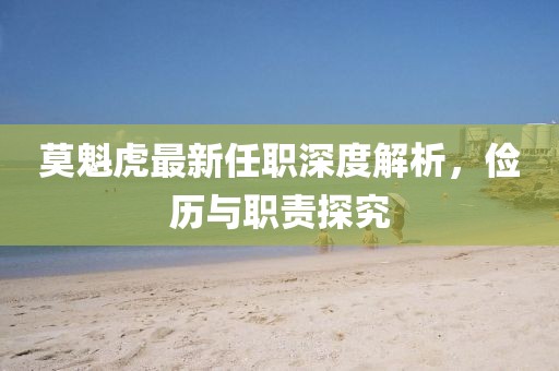 莫魁虎最新任職深度解析，儉歷與職責(zé)探究