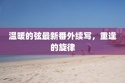 溫暖的弦最新番外續(xù)寫，重逢的旋律