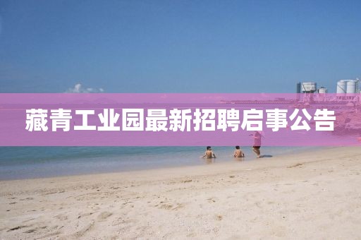 藏青工業(yè)園最新招聘啟事公告