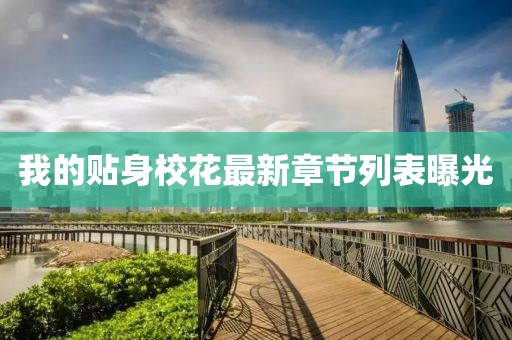 回眸最初 第15頁