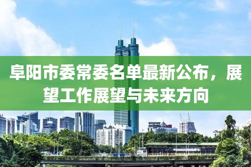 阜陽市委常委名單最新公布，展望工作展望與未來方向