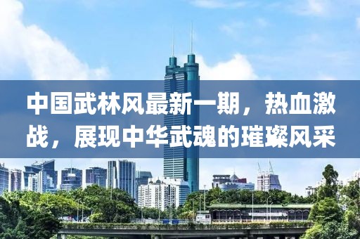 中國(guó)武林風(fēng)最新一期，熱血激戰(zhàn)，展現(xiàn)中華武魂的璀璨風(fēng)采