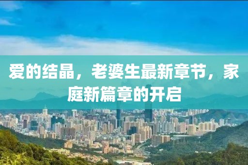 愛的結(jié)晶，老婆生最新章節(jié)，家庭新篇章的開啟