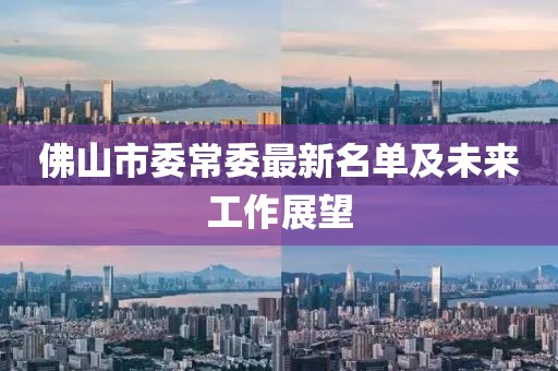 佛山市委常委最新名單及未來工作展望