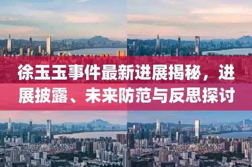 徐玉玉事件最新進展揭秘，進展披露、未來防范與反思探討