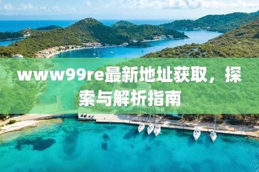 www99re最新地址獲取，探索與解析指南
