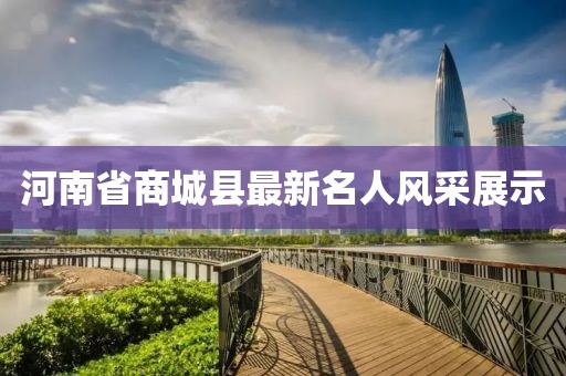 河南省商城縣最新名人風(fēng)采展示