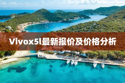 Vivox5l最新報價及價格分析