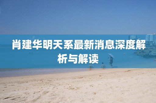 肖建華明天系最新消息深度解析與解讀