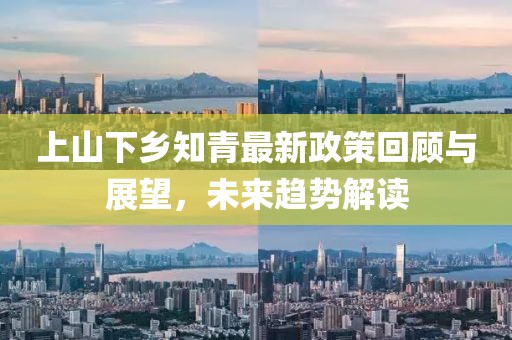 上山下鄉(xiāng)知青最新政策回顧與展望，未來趨勢(shì)解讀