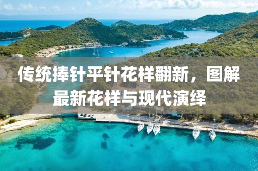 傳統(tǒng)捧針平針花樣翻新，圖解最新花樣與現(xiàn)代演繹