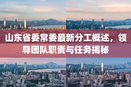 山東省委常委最新分工概述，領(lǐng)導(dǎo)團(tuán)隊(duì)職責(zé)與任務(wù)揭秘