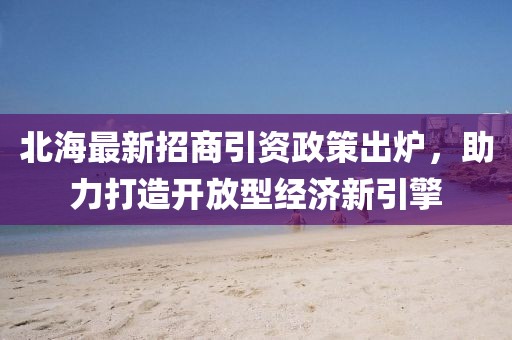 北海最新招商引資政策出爐，助力打造開放型經(jīng)濟(jì)新引擎