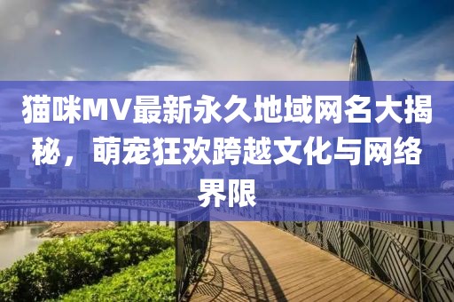 貓咪MV最新永久地域網(wǎng)名大揭秘，萌寵狂歡跨越文化與網(wǎng)絡界限