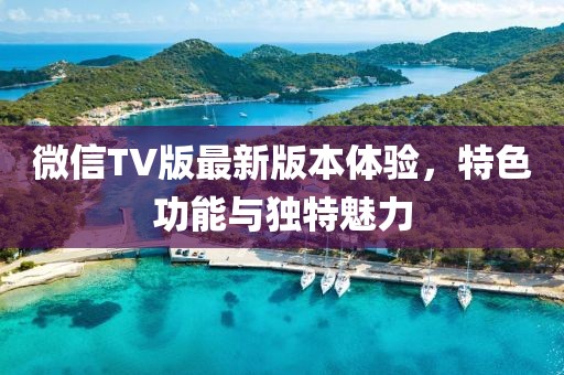 微信TV版最新版本體驗(yàn)，特色功能與獨(dú)特魅力