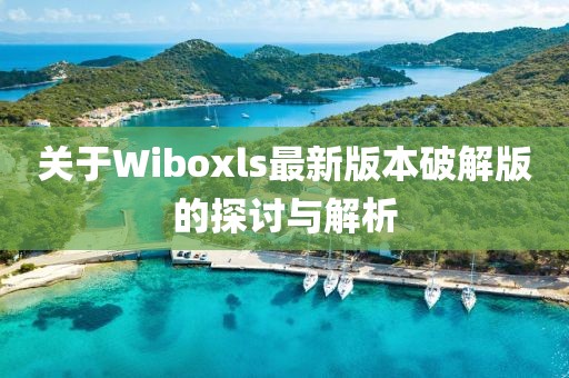 關(guān)于Wiboxls最新版本破解版的探討與解析