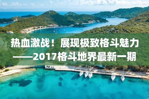 熱血激戰(zhàn)！展現(xiàn)極致格斗魅力——2017格斗地界最新一期