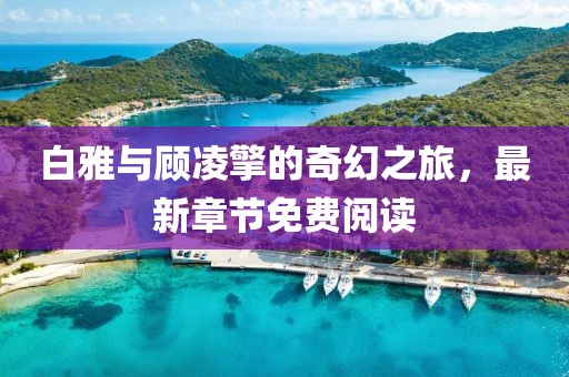 白雅與顧凌擎的奇幻之旅，最新章節(jié)免費閱讀