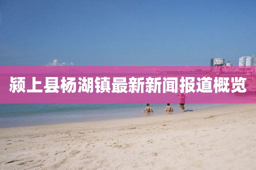 潁上縣楊湖鎮(zhèn)最新新聞報道概覽