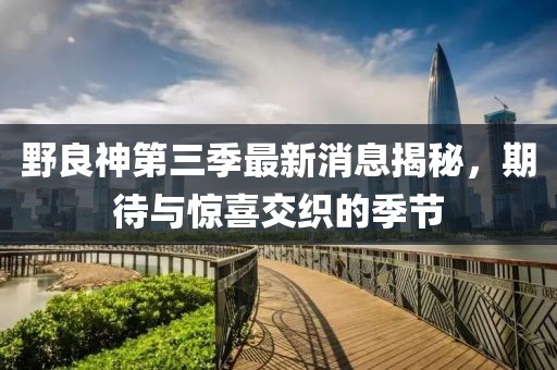 野良神第三季最新消息揭秘，期待與驚喜交織的季節(jié)