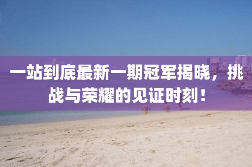 一站到底最新一期冠軍揭曉，挑戰(zhàn)與榮耀的見(jiàn)證時(shí)刻！