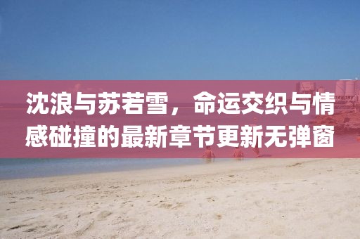 沈浪與蘇若雪，命運交織與情感碰撞的最新章節(jié)更新無彈窗