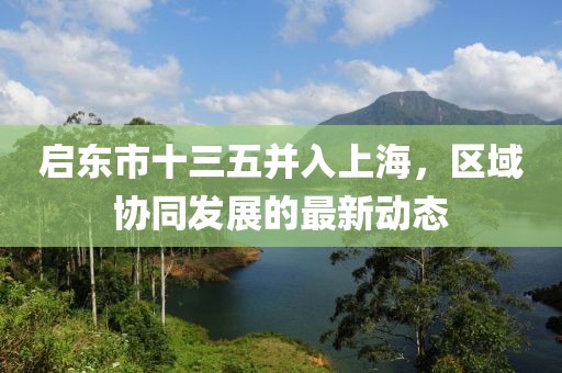 啟東市十三五并入上海，區(qū)域協(xié)同發(fā)展的最新動態(tài)