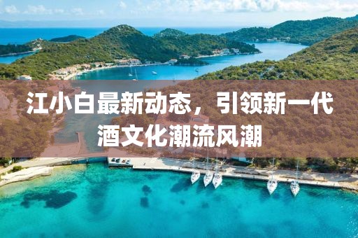 江小白最新動態(tài)，引領新一代酒文化潮流風潮