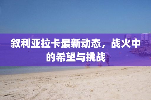 敘利亞拉卡最新動(dòng)態(tài)，戰(zhàn)火中的希望與挑戰(zhàn)