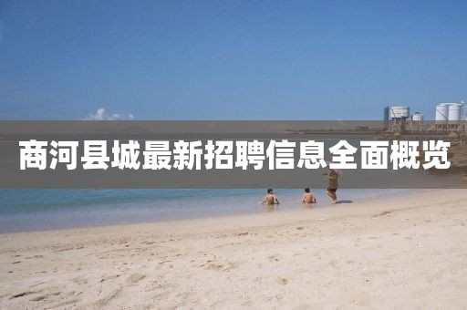 商河縣城最新招聘信息全面概覽