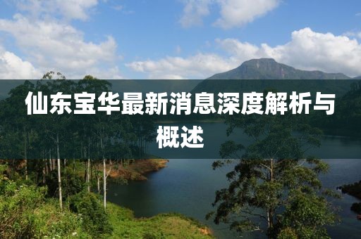 仙東寶華最新消息深度解析與概述