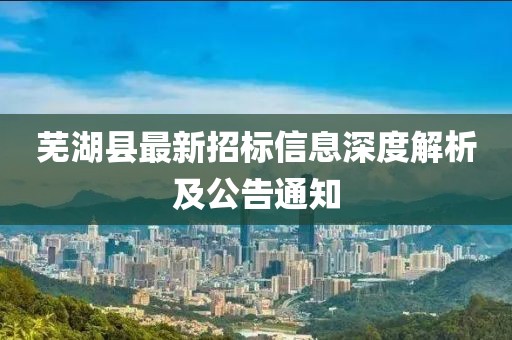 蕪湖縣最新招標(biāo)信息深度解析及公告通知