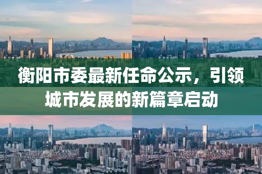 衡陽市委最新任命公示，引領(lǐng)城市發(fā)展的新篇章啟動