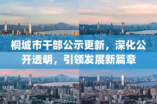 桐城市干部公示更新，深化公開透明，引領發(fā)展新篇章