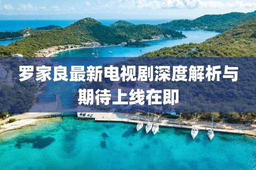 羅家良最新電視劇深度解析與期待上線在即