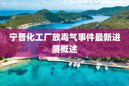 寧晉化工廠放毒氣事件最新進(jìn)展概述