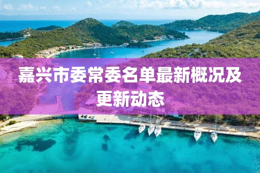 嘉興市委常委名單最新概況及更新動態(tài)