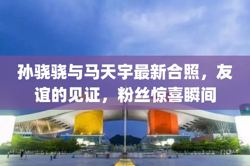 孫驍驍與馬天宇最新合照，友誼的見證，粉絲驚喜瞬間