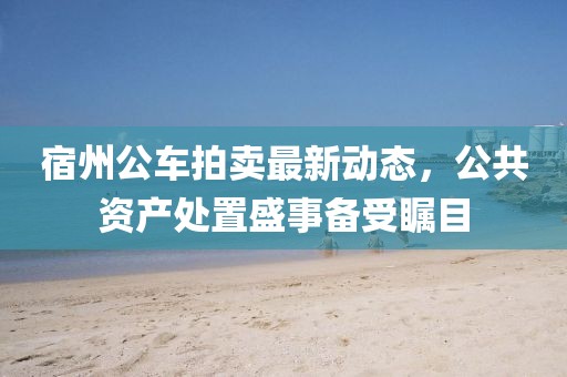 宿州公車拍賣最新動態(tài)，公共資產(chǎn)處置盛事備受矚目