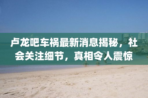 盧龍吧車禍最新消息揭秘，社會(huì)關(guān)注細(xì)節(jié)，真相令人震驚